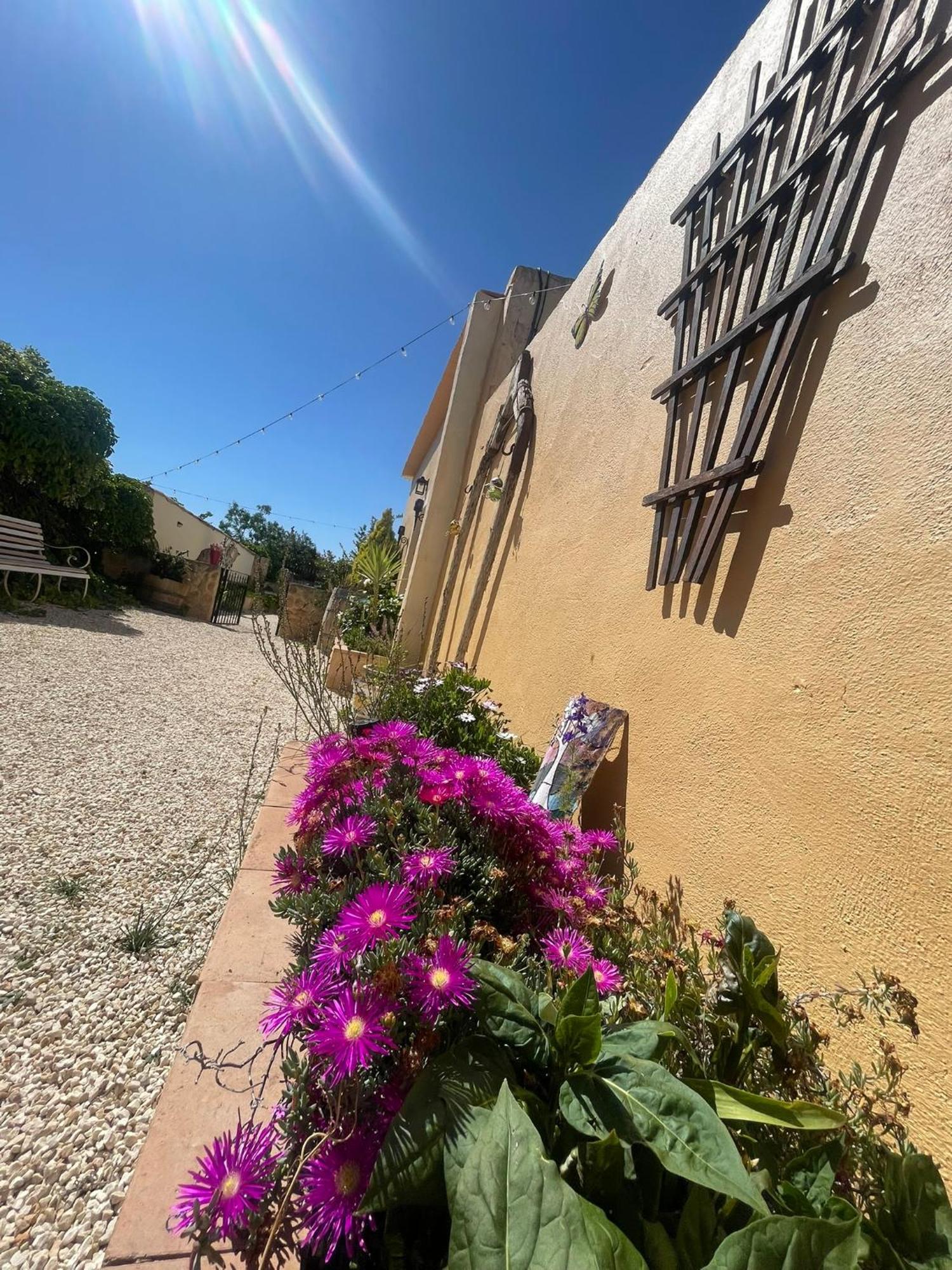 Casa Rural Ubeda - B&B - Pinoso-Alicante 외부 사진